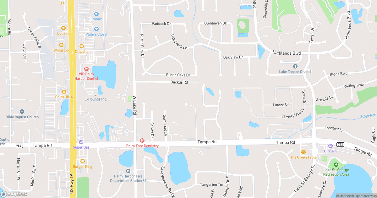 Palm Harbor Gas Leak: A Developing Story